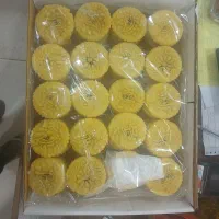 به چند همکار خانم نیازمندیم