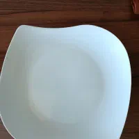 ۱۱عدد بشقاب چینی برنج خوری فقط ۸۰۰هزار