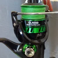 لنسر ماهیگیری