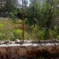 باغچه در شهرک بر جاده (زرین دشت)