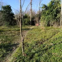 490متر-زمین-مسکونی