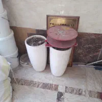 گل دون