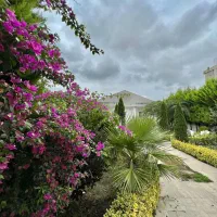 نزدیک-جاده-اصلی-شهرک-قدیمی-دنج-شسته-رفته