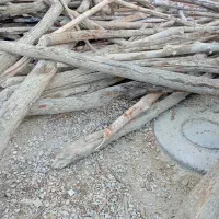 فروش چوب سقفی