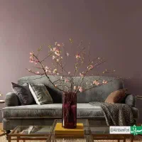 رنگ اکلریک اکو|مصالح و تجهیزات ساختمان|مشهد, یاس|دیوار