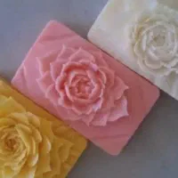 ویژه بانوان
