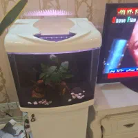 آکواریوم شرکتی،با وسایل|ماهی|مشهد, امیریه|دیوار