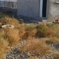 زمین کشاورزی در جاده چشمه|فروش زمین و ملک کلنگی|ایواوغلی, |دیوار