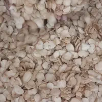 موسیر پلاک|عمده‌فروشی|تیران, |دیوار