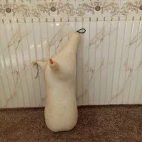 نی انبان بدون دسته