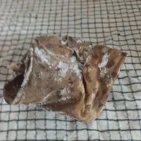 پوست گوسفند