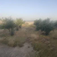 فروش خانه ویلایی ۱۰۰۰متری