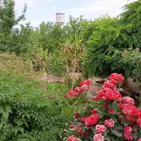 فروش باغ شهری خالد آباد فاتحی f14|فروش زمین و ملک کلنگی|شیراز, داریون|دیوار