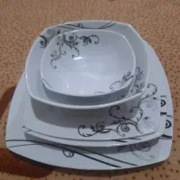 ظروف چینی|ظروف سرو و پذیرایی|شیراز, دشت چنار|دیوار