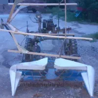 دروگرایتالیایی