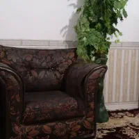 مبل|مبلمان خانگی و میز عسلی|چغادک, |دیوار