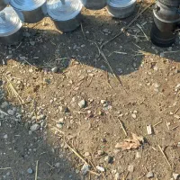 دیگ چودن روس تعداد دارم|ظروف پخت‌وپز|علی‌آباد کتول, |دیوار