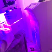 فیشال فقط هزینه مواد