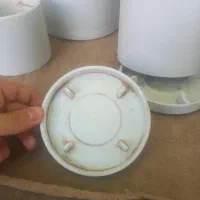 گلدون سرامیکی|گل و گیاه طبیعی|شیراز, جوادیه|دیوار