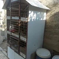 قفس یا جفت کن حیوانات خانگی|لوازم جانبی حیوانات|هشتگرد, تهران دشت|دیوار