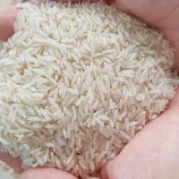 برنج هاشمی درجه یک
