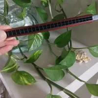 سازدهنی|سازهای بادی|مشهد, پورسینا|دیوار