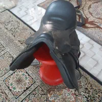 زین اسب|اسب و تجهیزات اسبسواری|بندرعباس, |دیوار
