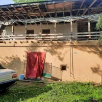 زمین سندار تفکیک شده در ماکلوان|فروش زمین و ملک کلنگی|ماکلوان, |دیوار