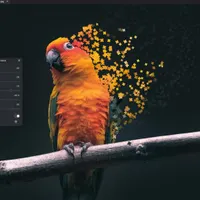 خدمات حرفه‌ای فتوشاپ
