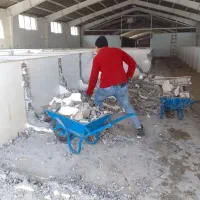 استخدام نیروی کار