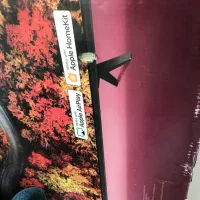 کارتن تی وی