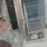 قفس|لوازم جانبی حیوانات|پرند, فاز ۶|دیوار