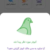 کفتر کبوتر مسافتی مسابقات