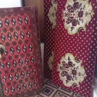 پشتی درحدنو
