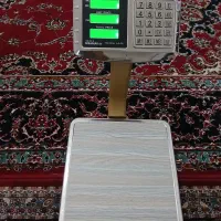 ترازو محک 60 کیلویی نو نو