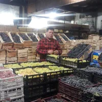 میوه مراسم تالار مجالس جشن عروسی میو استوایی انگور|خدمات پذیرایی، مراسم|تهران, میدان میوه و تره‌بار مرکزی|دیوار