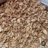 پوست بادام سنگی به قیمت بالا خریداریم