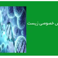 تدریس خصوصی زیست شناسی|خدمات آموزشی|رشت, نامجو|دیوار