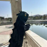 لباس بی دندون|لباس|شیروان (خراسان), |دیوار