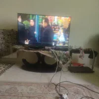 ال ی دی 49 فقط 5میلیون|تلویزیون و پروژکتور|پرند, فاز ۶|دیوار