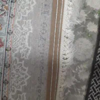 تعدادی محدود فرش نگین طلایی مشهد|فرش|کرمانشاه, |دیوار