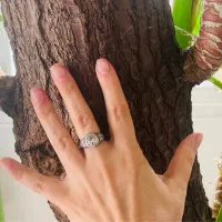 یوکا|گل و گیاه طبیعی|تهران, تهرانپارس غربی|دیوار