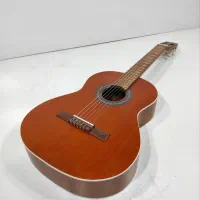 گیتار پارسی P40