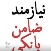 ضامن میخوام