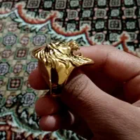 انگشتر شیر طلائی|بدلیجات|زاهدان, |دیوار