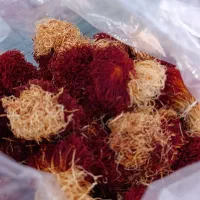 زعفران دسته دختر پیچ قاین زیر کوه روستافندخت|خوردنی و آشامیدنی|تهران, شیوا|دیوار