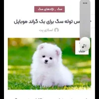 قبول سرپرستی