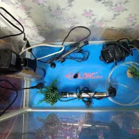 آکواریوم چینی فروش فوری