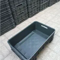 سبد حمل ماهی قزل‌آلا