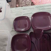 ظروف پیک نیک لیمون.